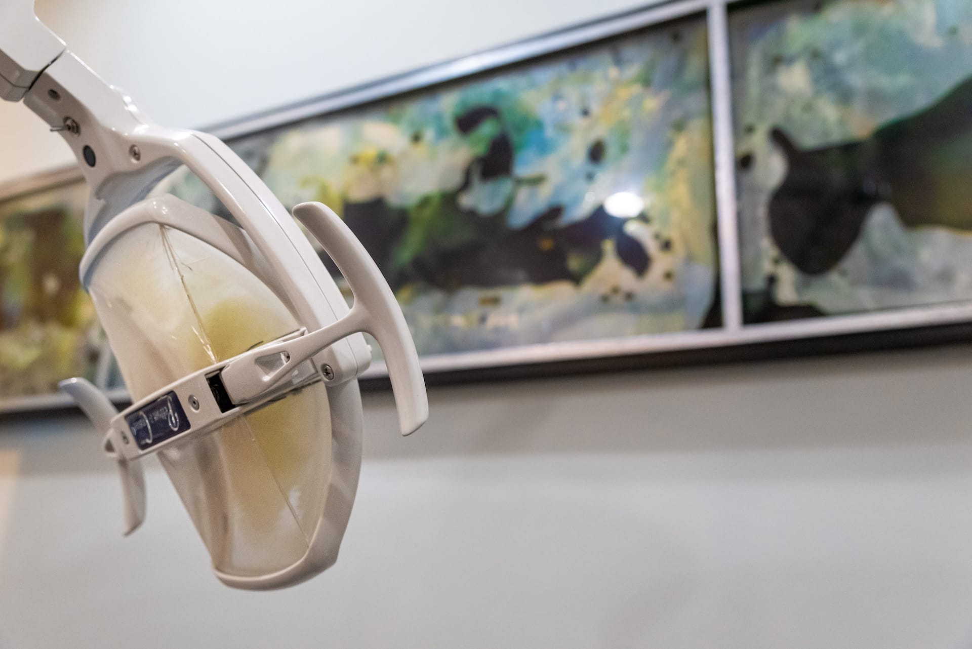 Kimberly Smiles interior Chicago, IL